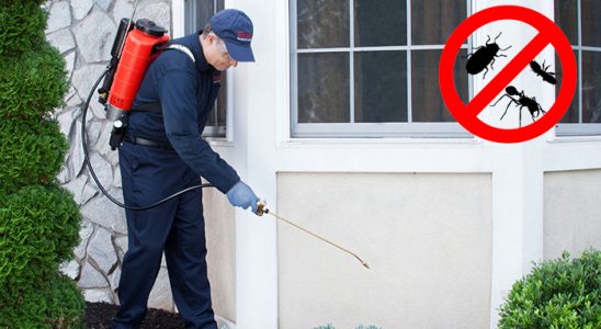 Çekerek Kene İlaçlama böcek ilaçlama ve haşere kontrolü — ilaclama-tr.com